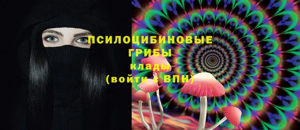 стафф Аркадак