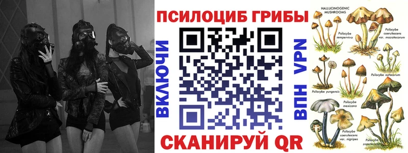 Псилоцибиновые грибы Psilocybe  omg как зайти  Рузаевка 